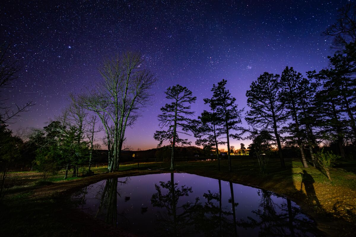 The pond, before the eclipse