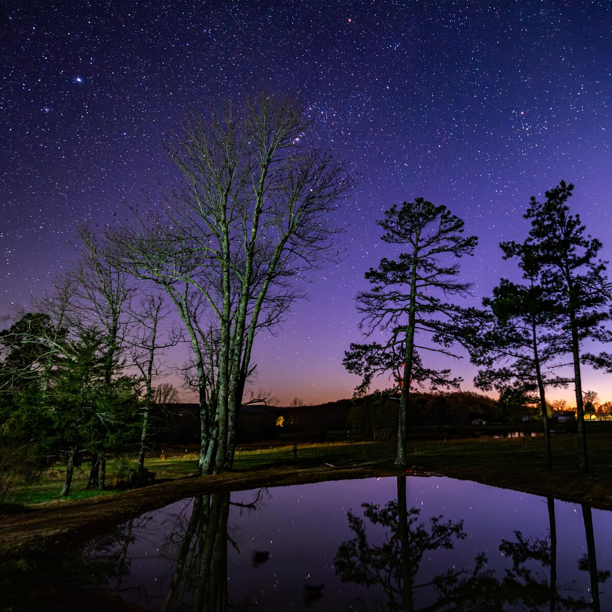 Trees, water, last of the twilight