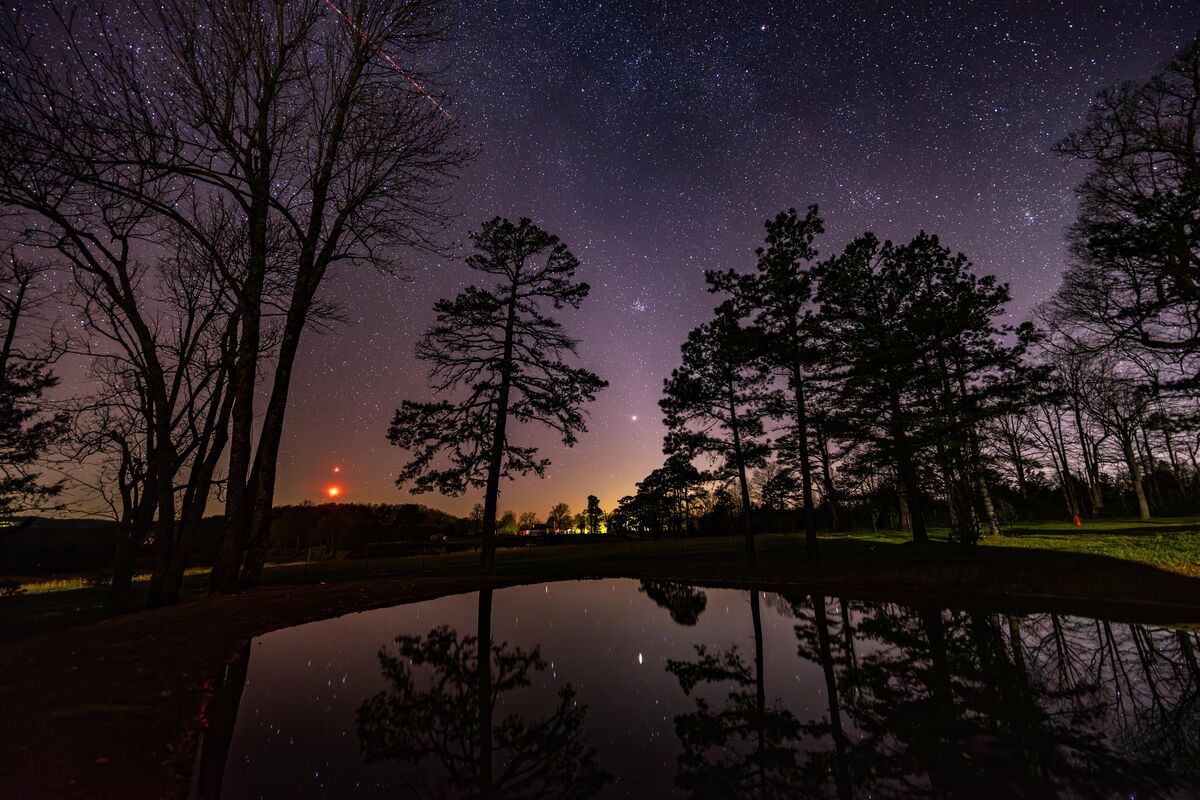 Pond, late